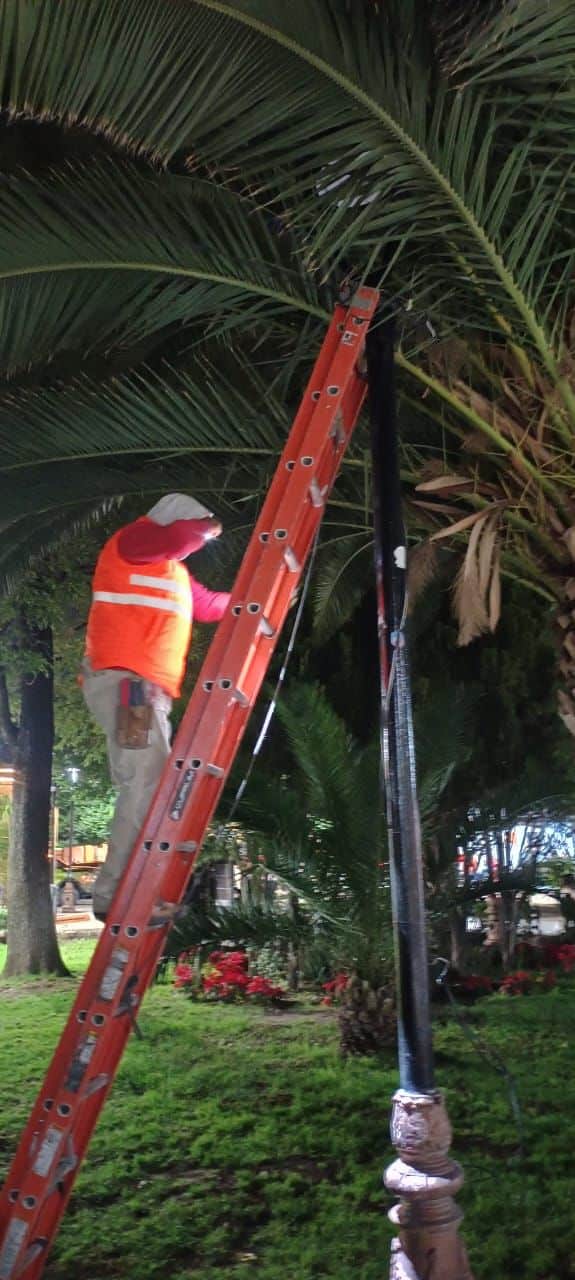reparación coronel romero gobierno municipal slp