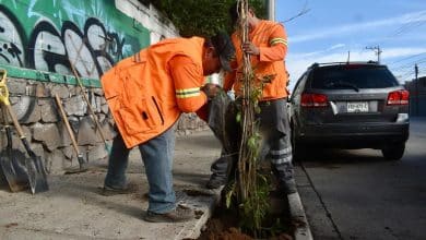 reparación coronel romero gobierno municipal slp