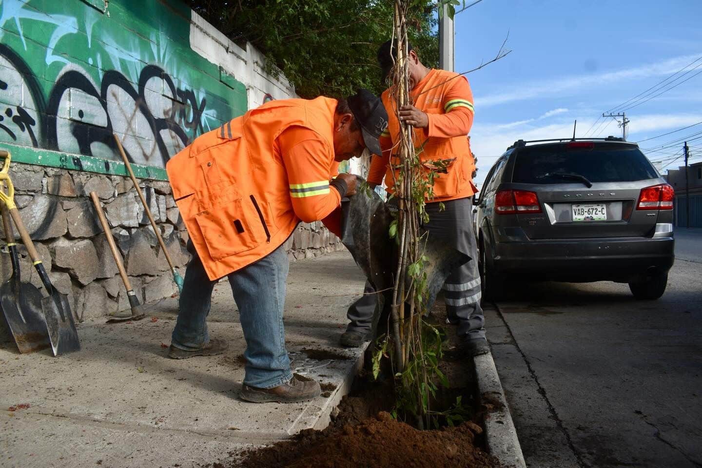 reparación coronel romero gobierno municipal slp