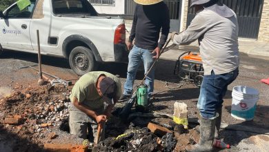 reparación fugas interapas