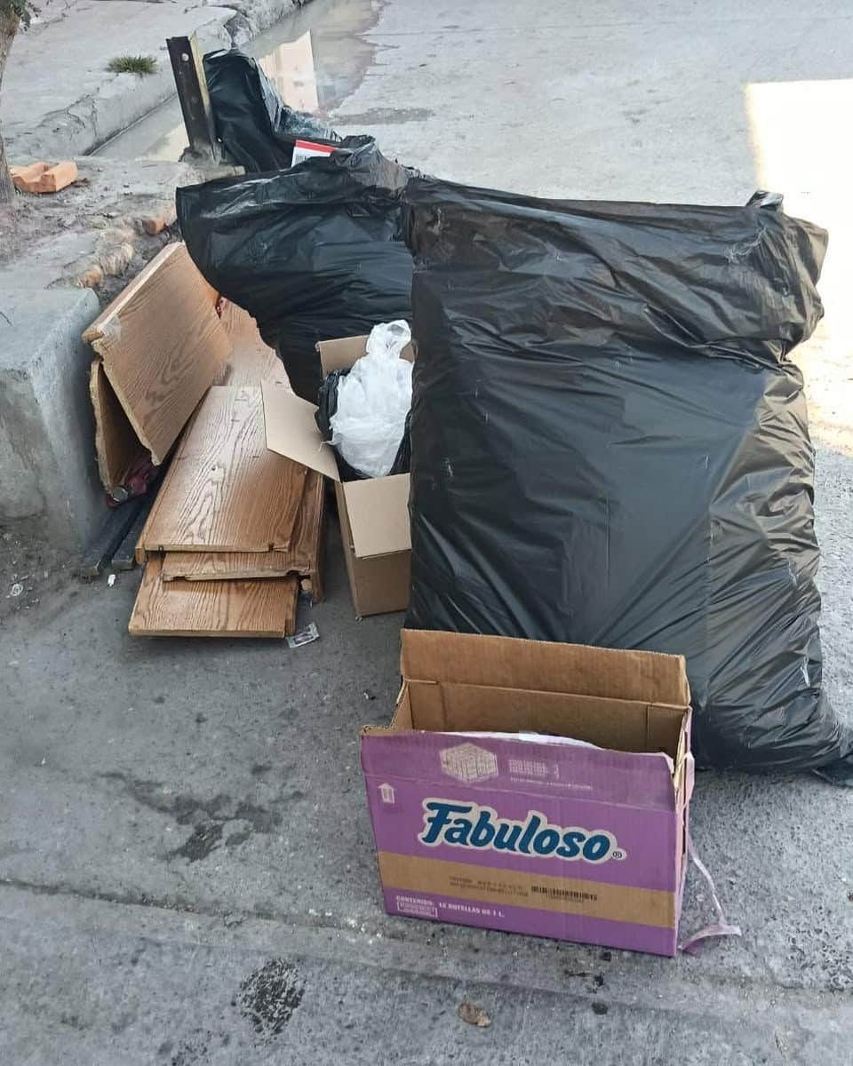 reporte gestión gobierno municipal slp