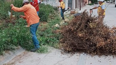 residuos toneladas slp