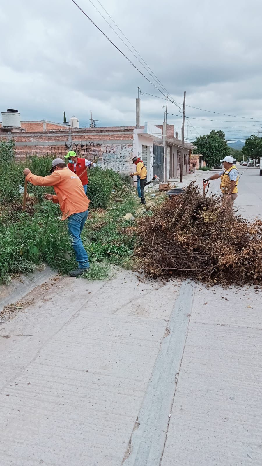 residuos toneladas slp
