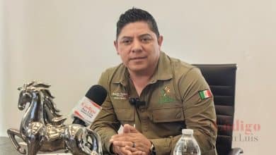 ricardo gallardo