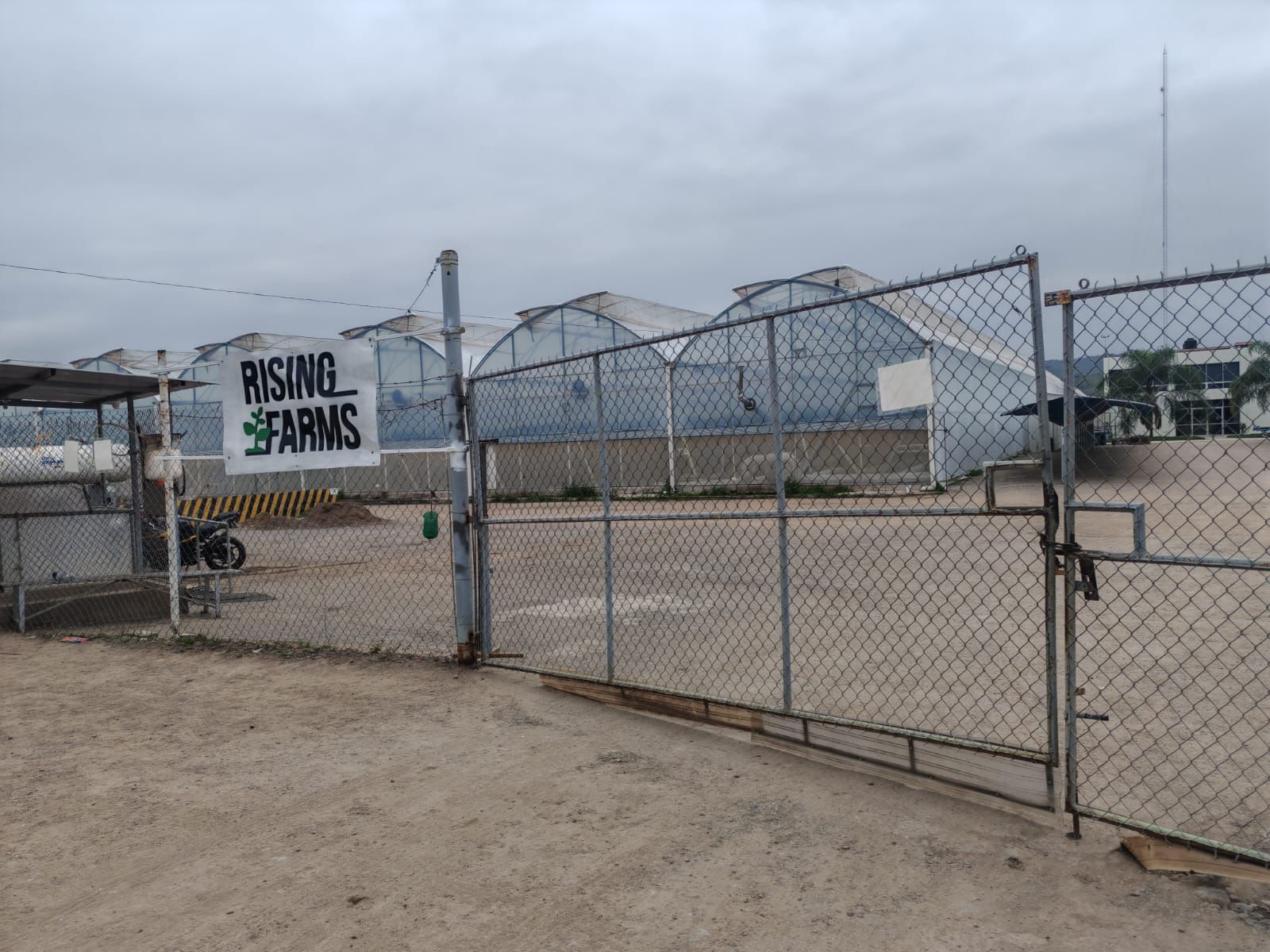 rising arms ciudad fernández