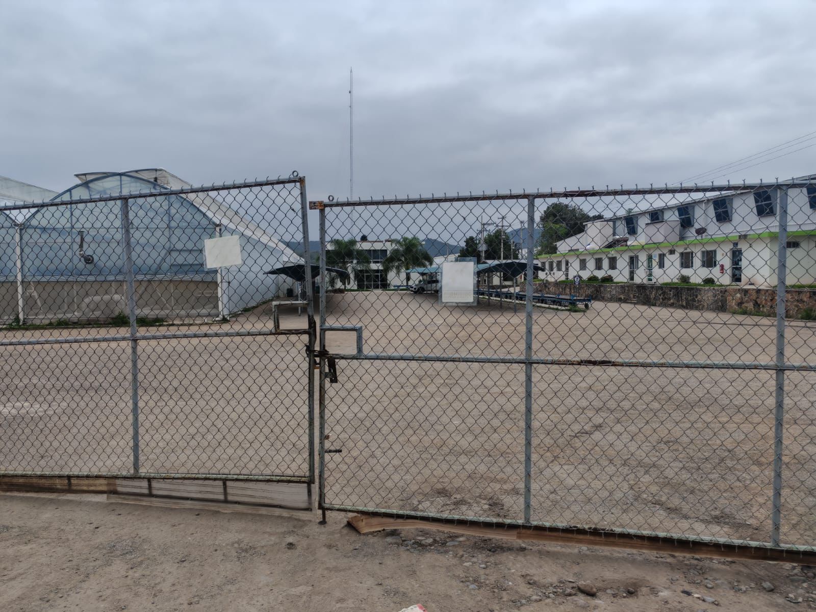 rising arms ciudad fernández