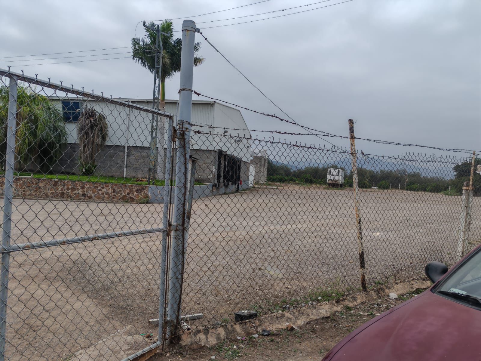 rising arms ciudad fernández