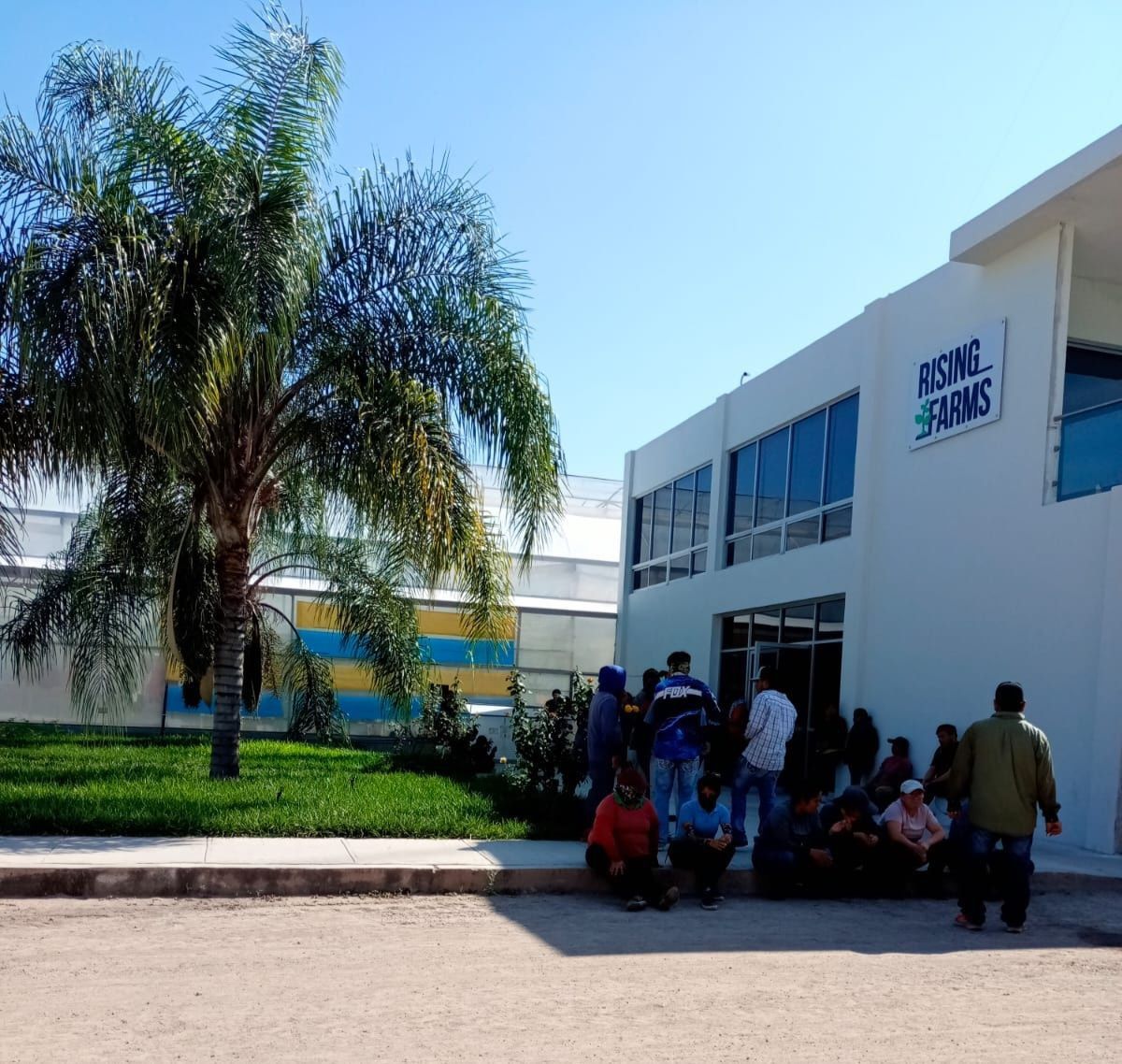 rising arms ciudad fernández