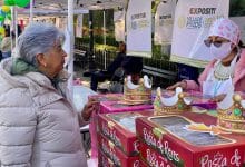 rosca de reyes exposición villa de pozos