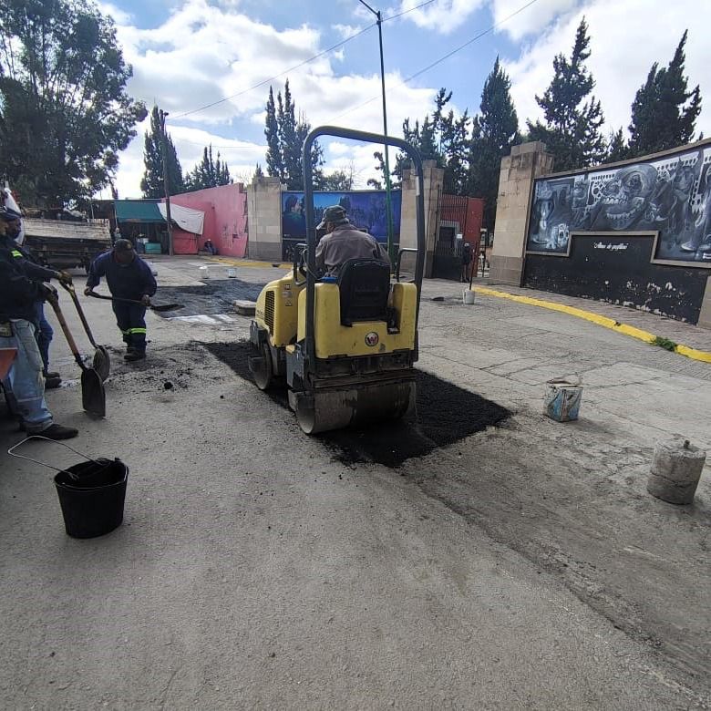 saucito bacheo