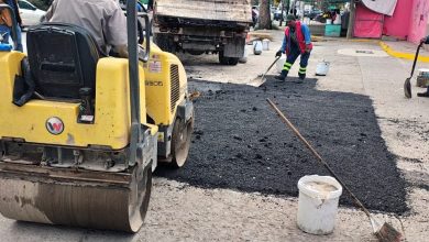 saucito bacheo