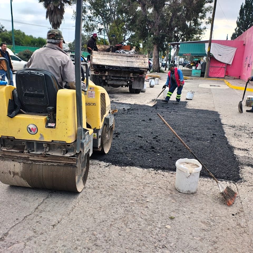 saucito bacheo