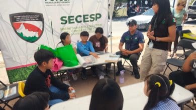 secretaria ejecutivo verano en tu colonia