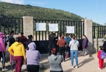 zaragoza docentes