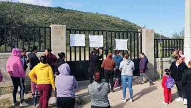 zaragoza docentes