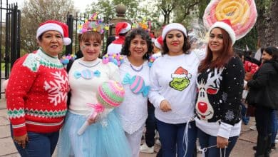 navidad verde sege gobierno del estado