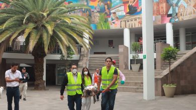 simulacro uam