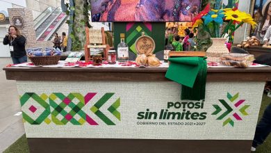 slp feria de león gobierno del estado