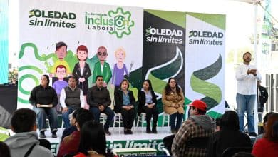 soledad feria inclusión