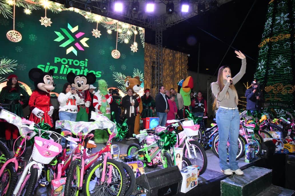 soledad posadas juan manuel navarro ricardo gallardo