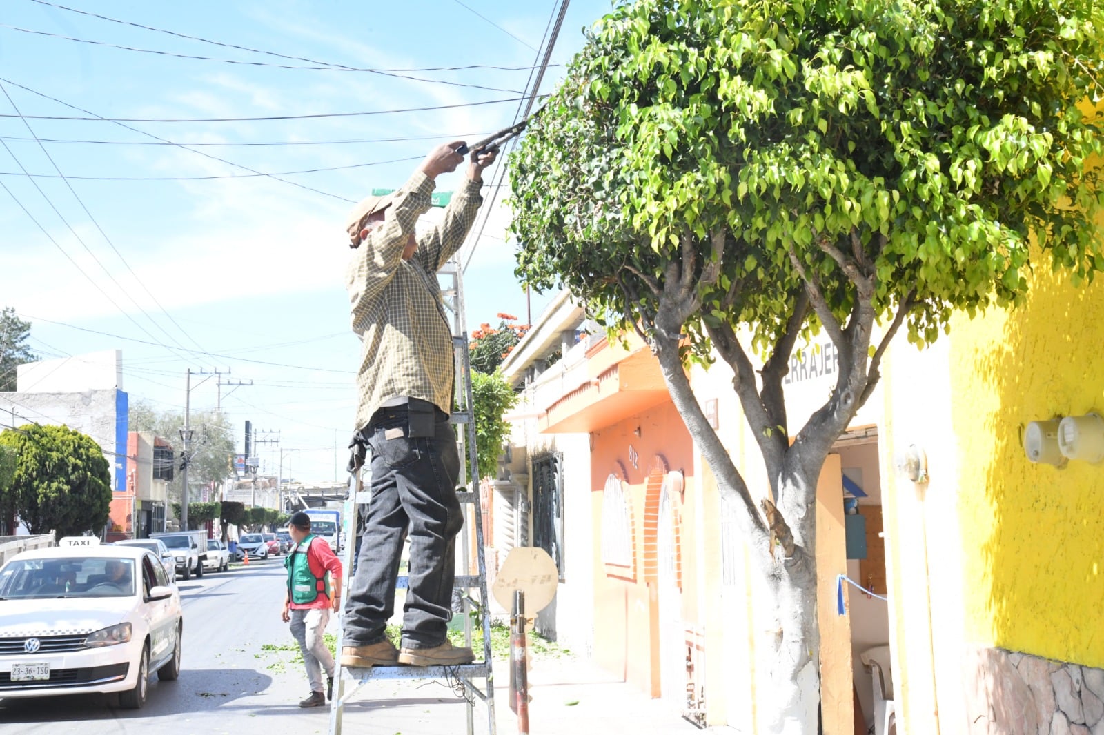 toneladas basura soledad