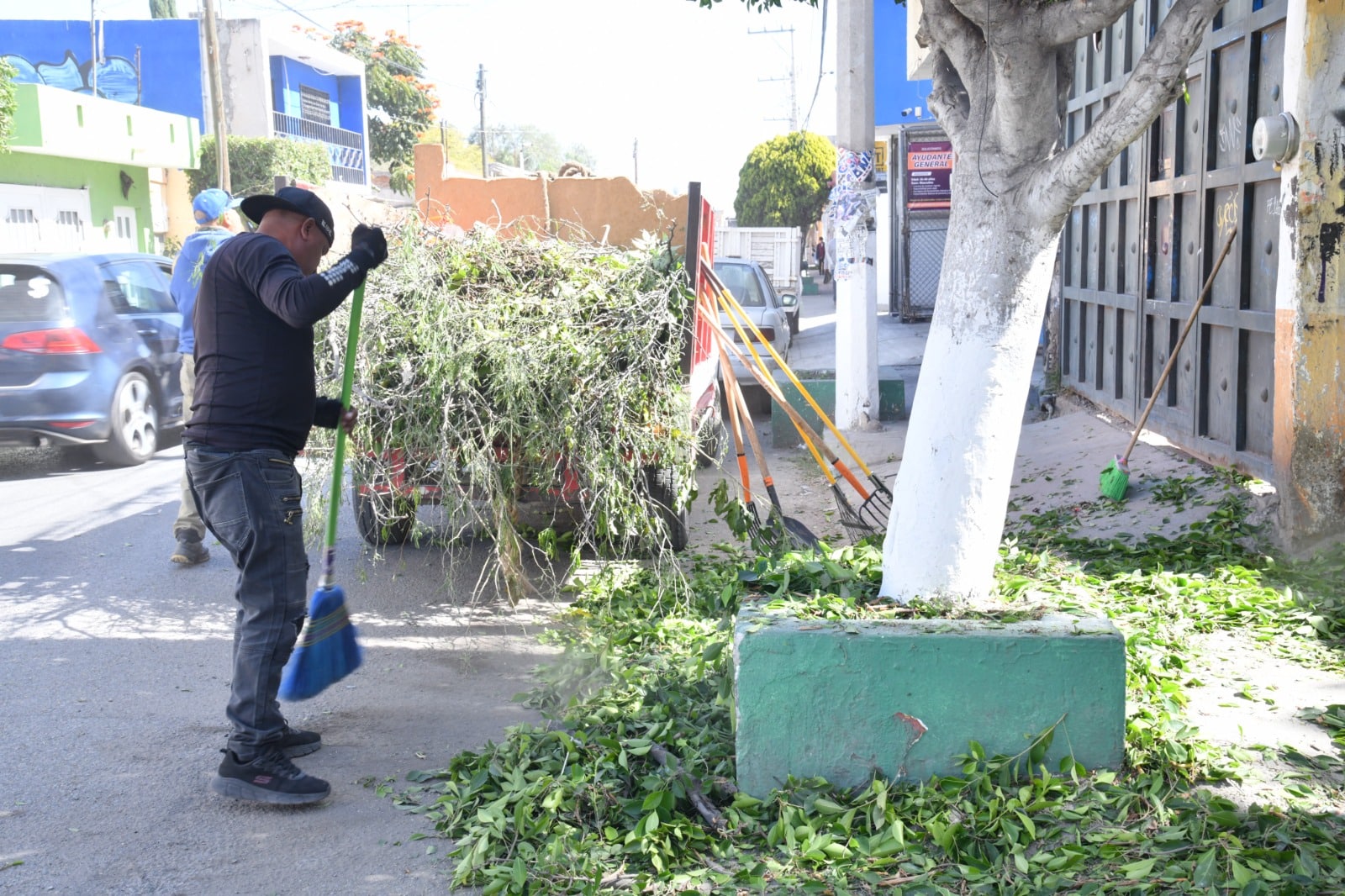 toneladas basura soledad