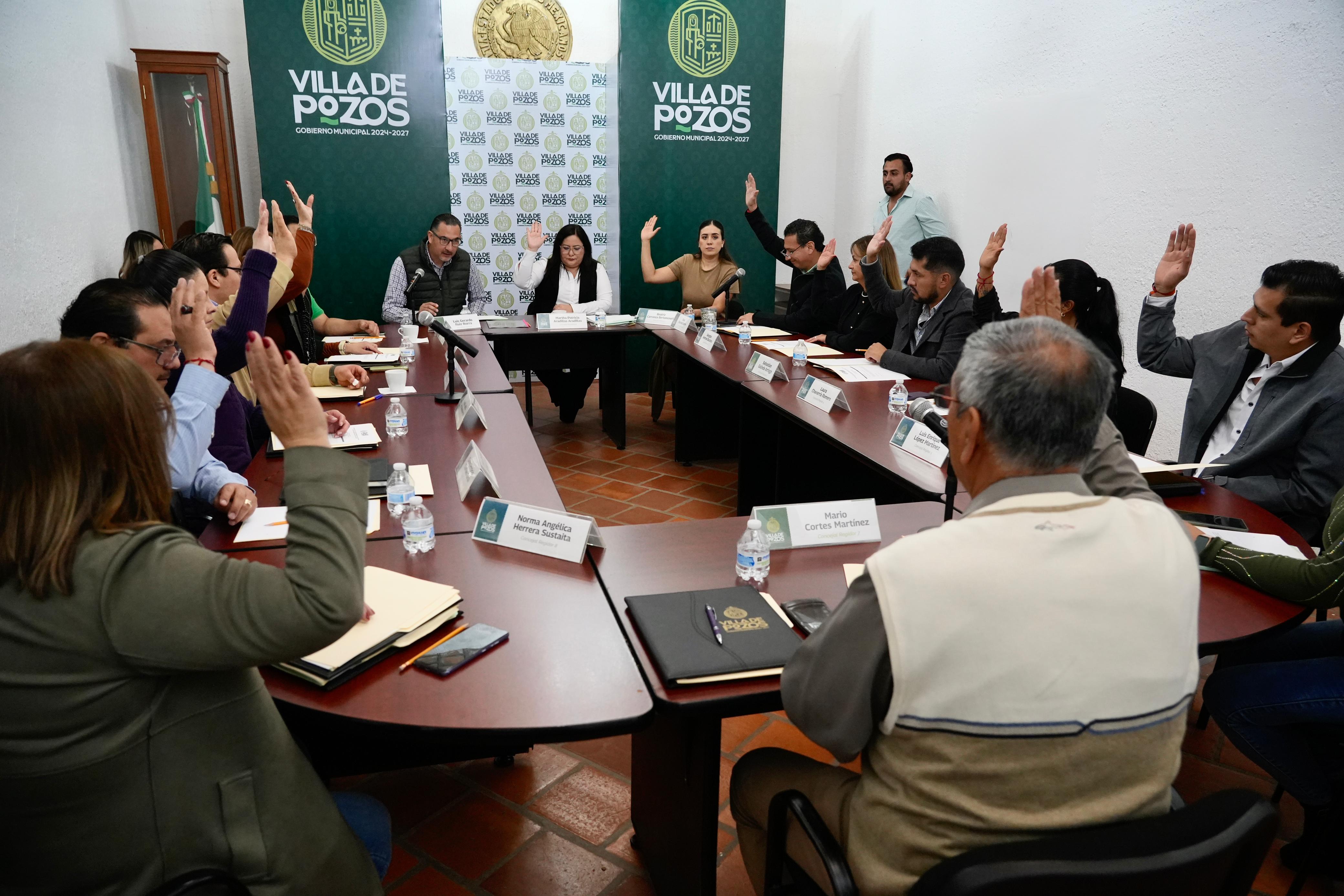 villa de pozos patricia aradillas