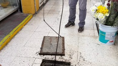 mercados gobierno municipal slp