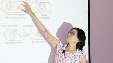 Lidera María Cecilia Ishida lucha científica contra la resistencia a los antibióticos
