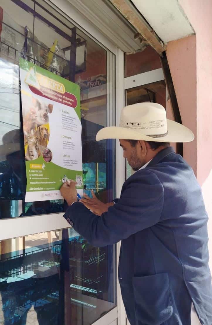 vigilancia sanitaria servicios de salud gobierno del estado