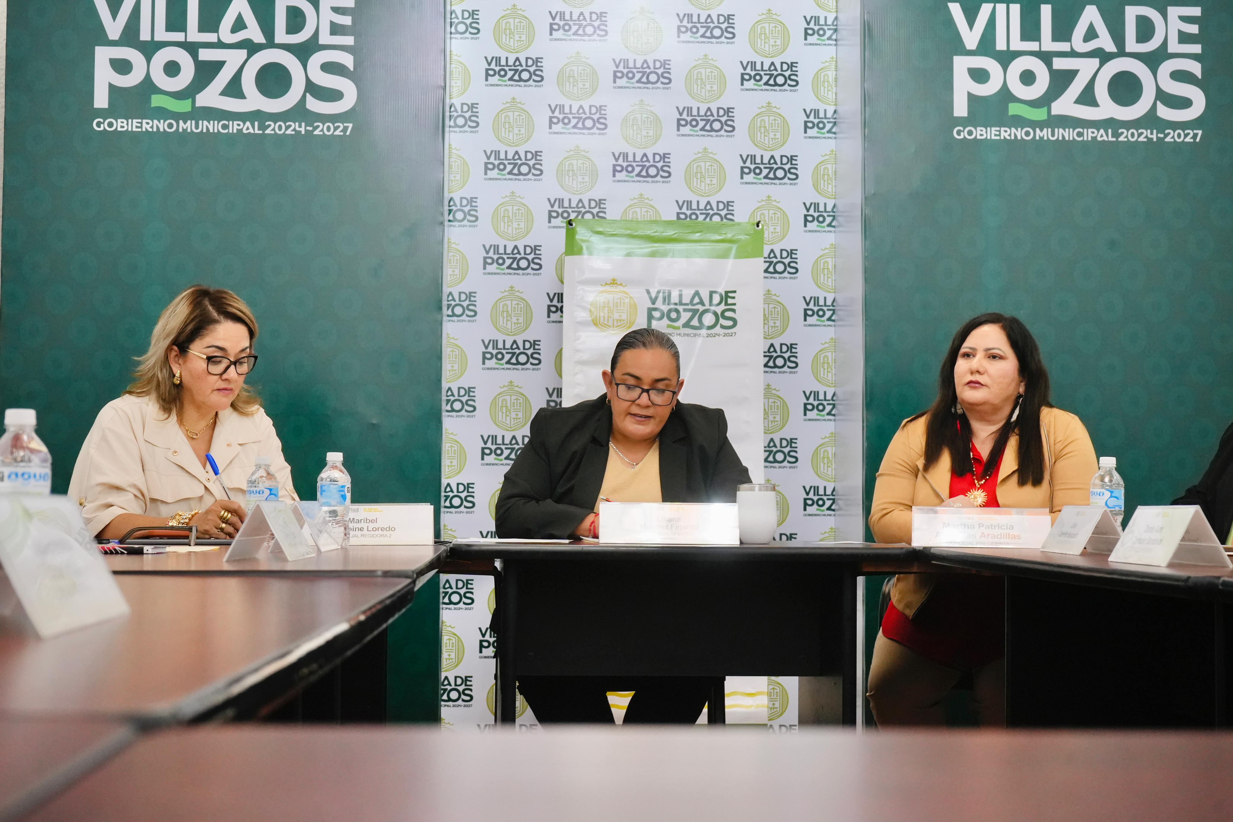 villa de pozos comisión seguridad