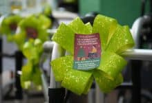 dif villa de pozos salud