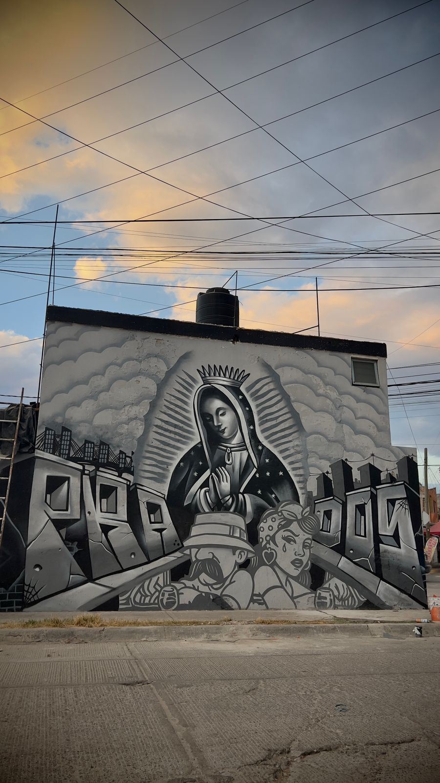 virgen de guadalupe villa de pozos