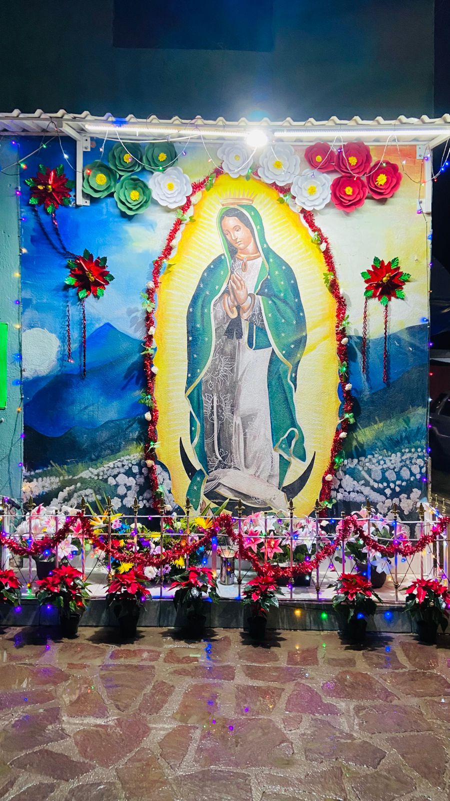 virgen de guadalupe villa de pozos