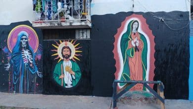 virgen de guadalupe villa de pozos